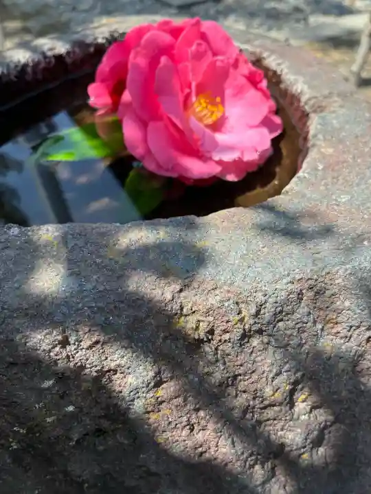今市報徳二宮神社の{uncategorized: "未分類", other: "その他", undefined: "問題あり", building: "その他建物", grave: "お墓", sacred_gate: "鳥居", guardian: "狛犬", statue: "像", buddha: "仏像", history: "歴史", nature: "自然", garden: "庭園", animal: "動物", pagoda: "塔", temizu: "手水舎", mountain_gate: "山門・神門", sanctuary: "本殿・本堂", subordinate: "末社・摂社", art: "芸術", scenery: "景色", jizo: "地蔵", ema: "絵馬", goshuin: "御朱印", omikuji: "おみくじ", items: "授与品その他", amulet: "お守り", goshuincho: "御朱印帳", eats: "食事", festival: "お祭り", votive_dance: "神楽", shichigosan: "七五三参", wedding: "結婚式", experience: "体験その他", initially: "初詣", around: "周辺", anti_infection: "感染症対策"}