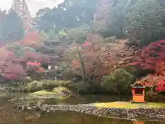 浄瑠璃寺(京都府)