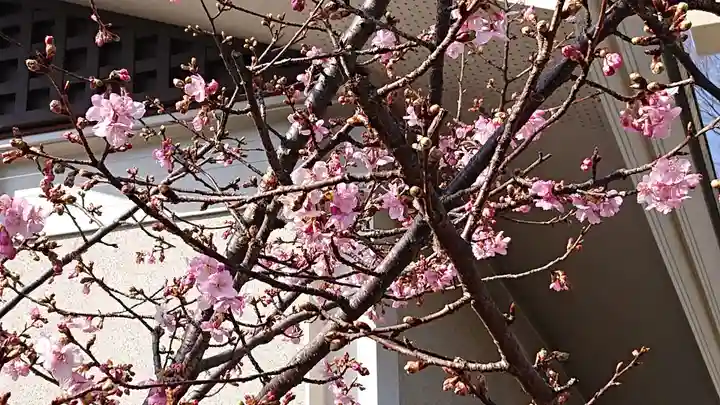 阿豆佐味天神社 立川水天宮の自然