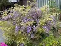 称名寺(兵庫県)