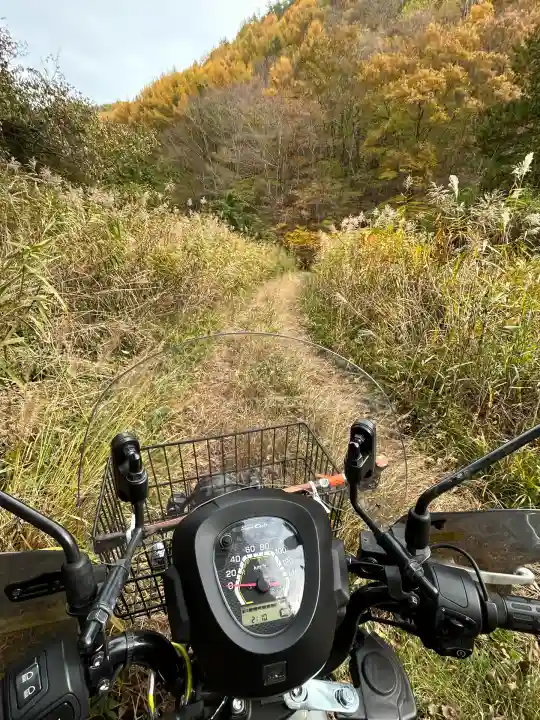 山神社(長野県)