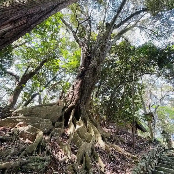 倭姫宮(皇大神宮別宮)(三重県)