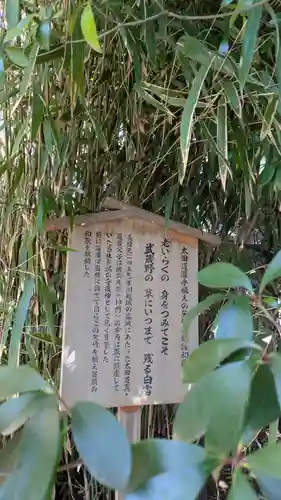 川越氷川神社(埼玉県)