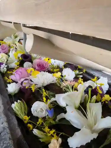 鳩森八幡神社(東京都)