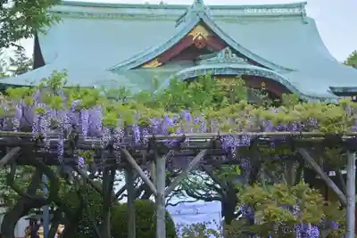 亀戸天神社(東京都)