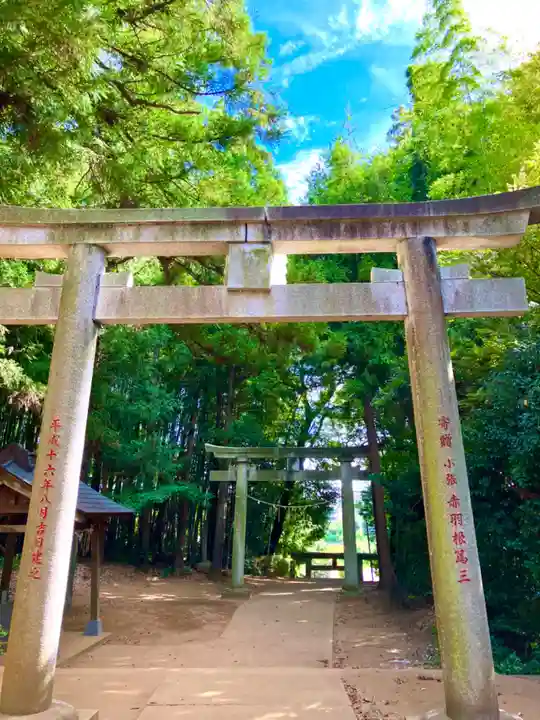 愛宕神社(茨城県)