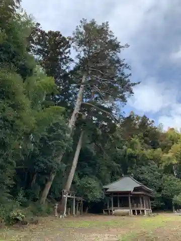 稲荷神社(千葉県)