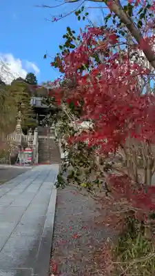 柳谷観音　楊谷寺(京都府)