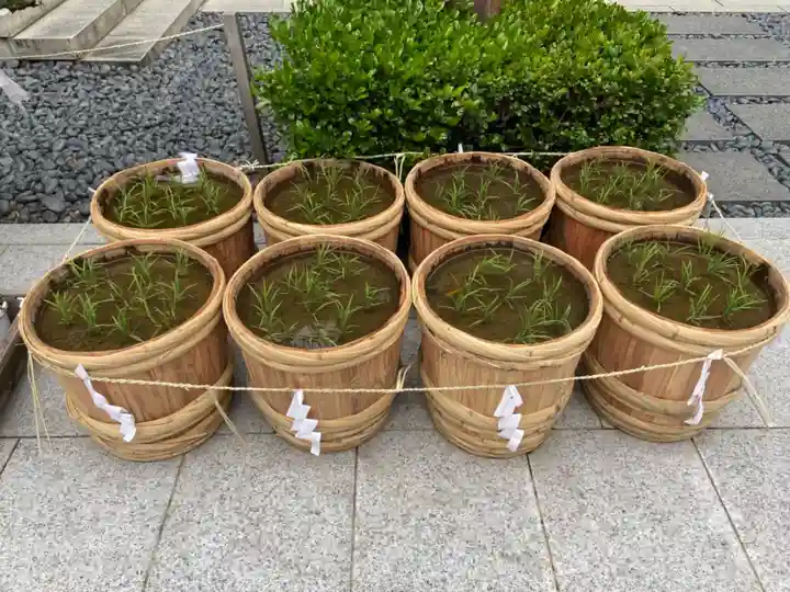 東京大神宮の庭園