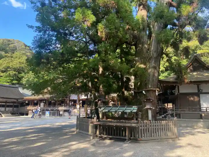 大神神社(奈良県)