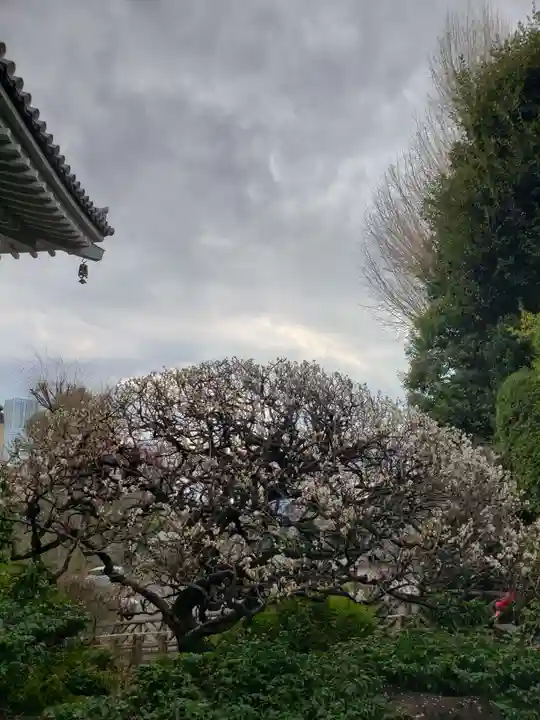 東長谷寺 薬王院(東京都)