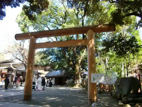乃木神社の鳥居