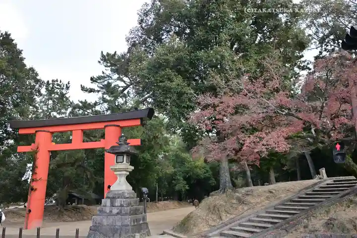 夫婦大國社(春日大社末社)(奈良県)