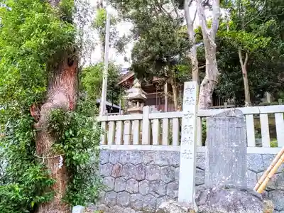 中洲神社のその他建物