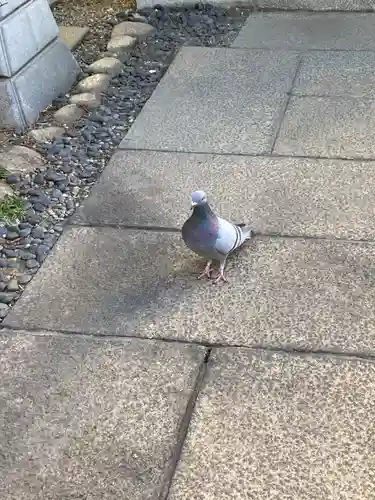 櫻株稲荷神社(水戸屋稲荷)(千葉県)
