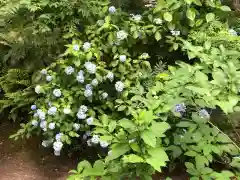 高砂神社の自然