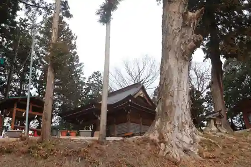 阿久津「田村神社」（郡山市阿久津町）旧社名：伊豆箱根三嶋三社の景色