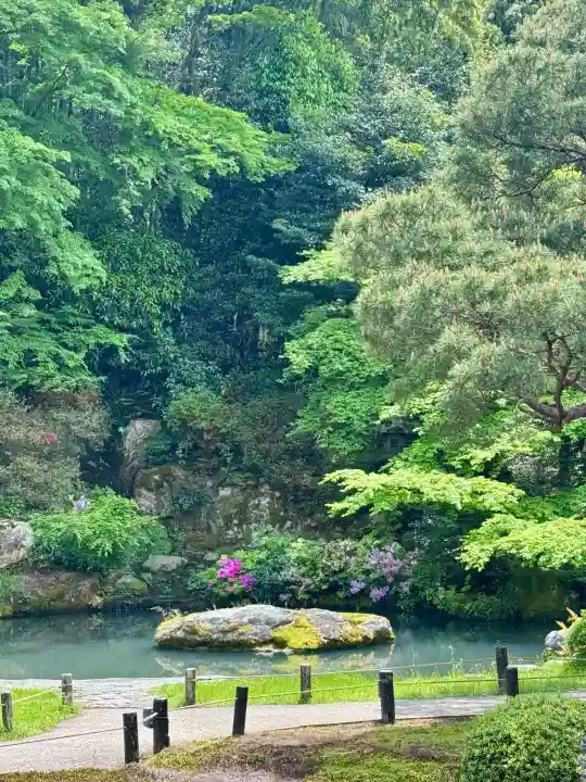 青蓮院門跡の{uncategorized: "未分類", other: "その他", undefined: "問題あり", building: "その他建物", grave: "お墓", sacred_gate: "鳥居", guardian: "狛犬", statue: "像", buddha: "仏像", history: "歴史", nature: "自然", garden: "庭園", animal: "動物", pagoda: "塔", temizu: "手水舎", mountain_gate: "山門・神門", sanctuary: "本殿・本堂", subordinate: "末社・摂社", art: "芸術", scenery: "景色", jizo: "地蔵", ema: "絵馬", goshuin: "御朱印", omikuji: "おみくじ", items: "授与品その他", amulet: "お守り", goshuincho: "御朱印帳", eats: "食事", festival: "お祭り", votive_dance: "神楽", shichigosan: "七五三参", wedding: "結婚式", experience: "体験その他", initially: "初詣", around: "周辺", anti_infection: "感染症対策"}