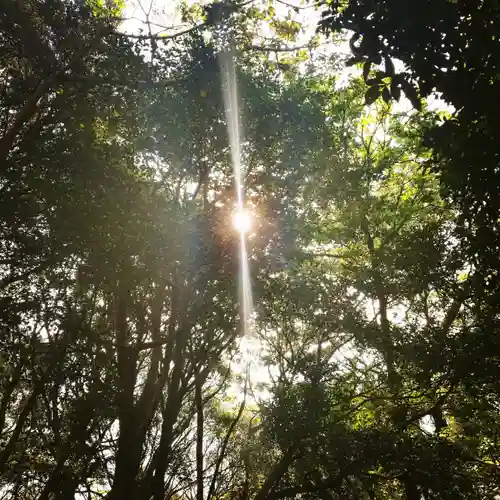 稲荷神社の自然