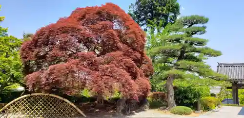 秀麓斎の庭園