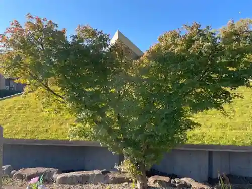 伊勢の国 四天王寺の自然