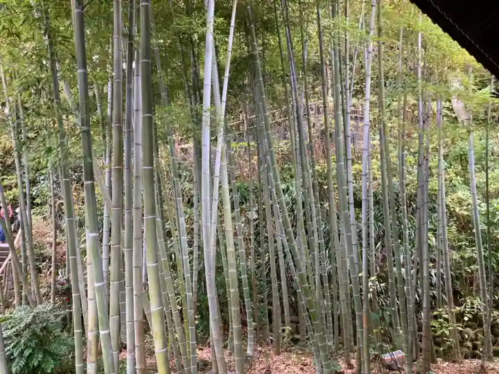 長谷寺(神奈川県)