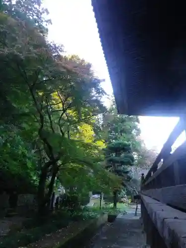 妙本寺の本殿・本堂