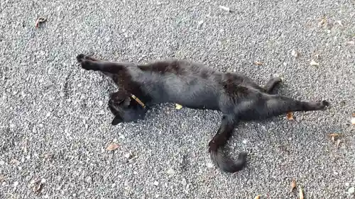 高司神社〜むすびの神の鎮まる社〜(福島県)