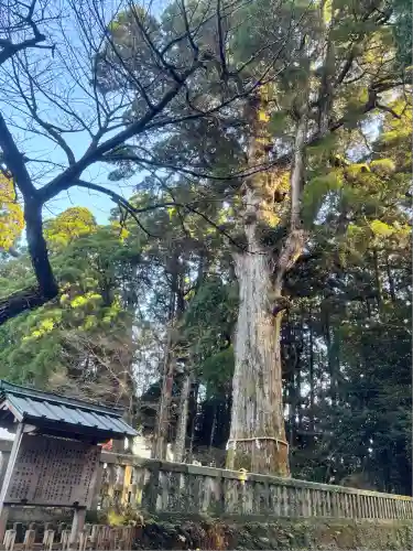 霧島神宮(鹿児島県)