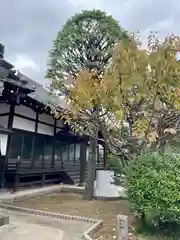 長徳寺(東京都)