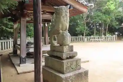 新宮神社の狛犬