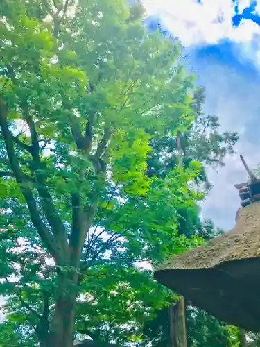 愛宕神社の自然