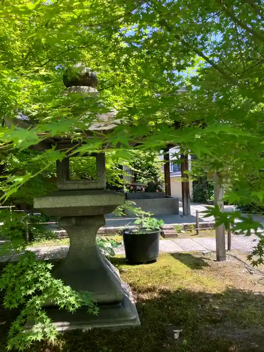 勝林寺(京都府)