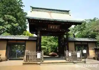 豪徳寺の山門・神門