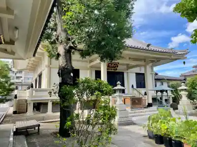 円光院(東京都)