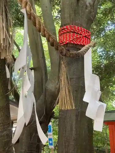 賀茂御祖神社（下鴨神社）の自然