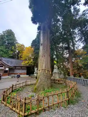 戸隠神社中社(長野県)
