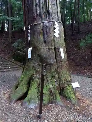 元伊勢内宮 皇大神社の芸術