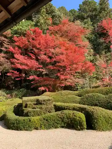 大池寺の庭園