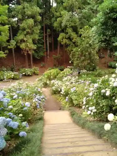 二十三夜尊 桂岸寺の自然