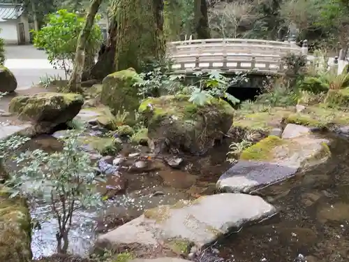 最乗寺（道了尊）の庭園