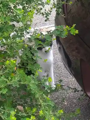 鴻八幡宮の周辺