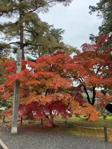 南禅寺(京都府)