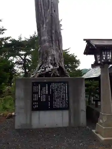 蘆別神社の歴史