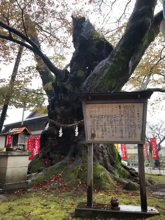 秩父今宮神社の自然