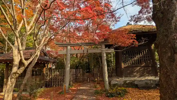 蓮華寺(洛北蓮華寺)(京都府)