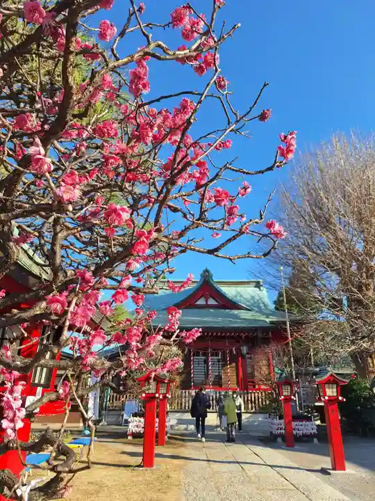 岡村天満宮(神奈川県)