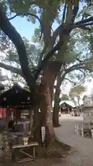 古知野神社(愛知県)