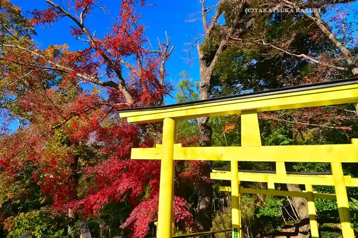 足利織姫神社(栃木県)