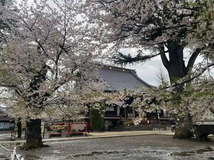 寛永寺(根本中堂)(東京都)